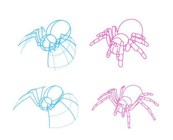 как нарисовать тарантула