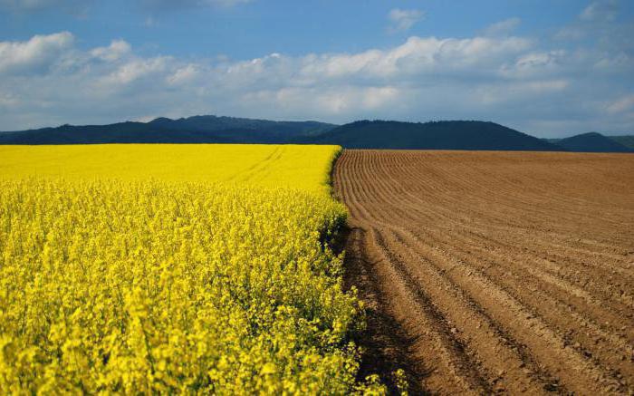 how agroecosystems differ from natural ecosystems