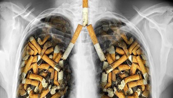 вред табакокурения на организм человека