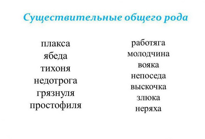 Альтер эго какой род существительного