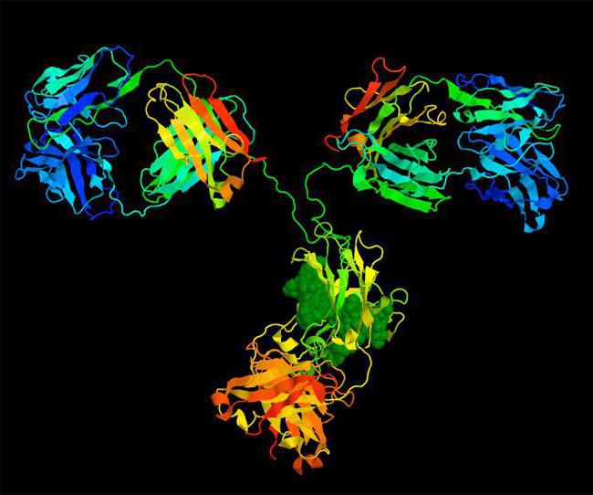 food proteins trapped in human blood are