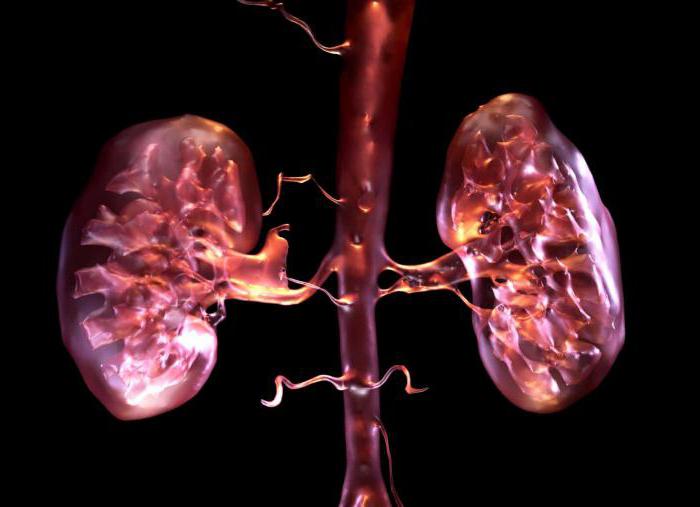 in the kidneys, blood filtration occurs in capsules of nephrons