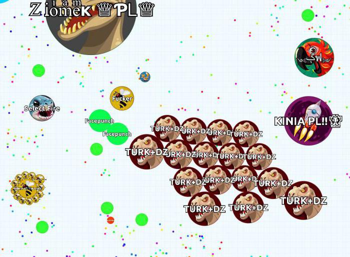 agario with cheats for a mass of 100,000,000,000