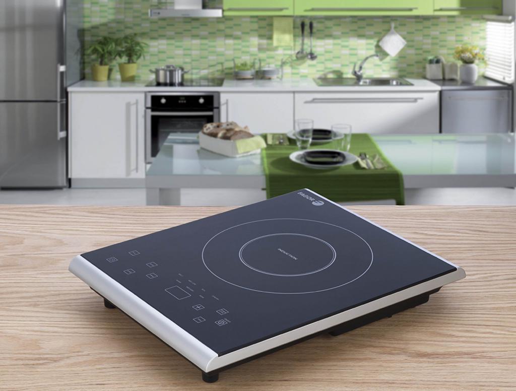 Induction cooker for garden