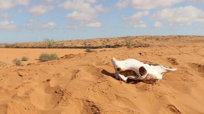 песчано каменистая пустыня