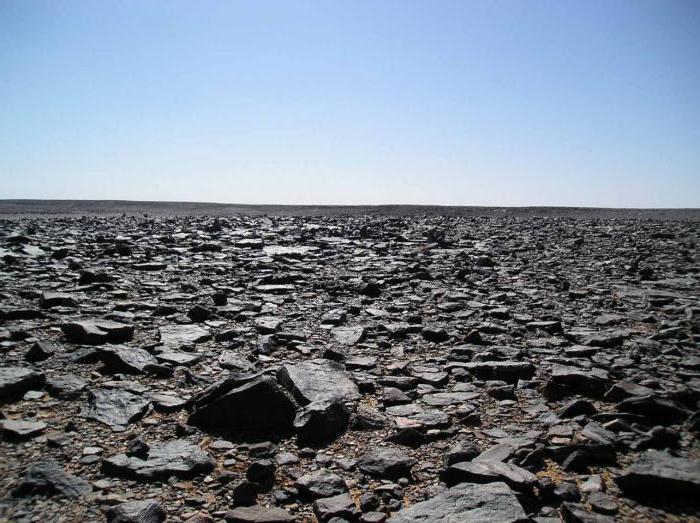 каменистые пустыни в сахаре