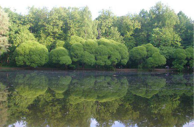 Naryshkinsky pond in Filevsky park