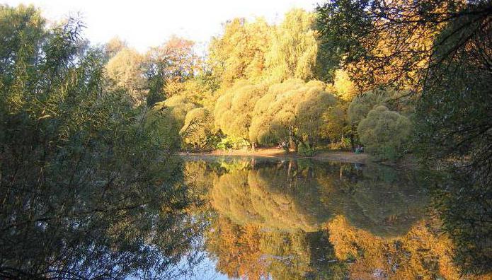 Naryshkinsky pond in Filyovsky park photo