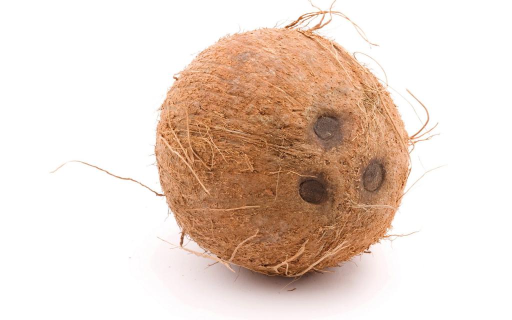 Как выглядит кокос