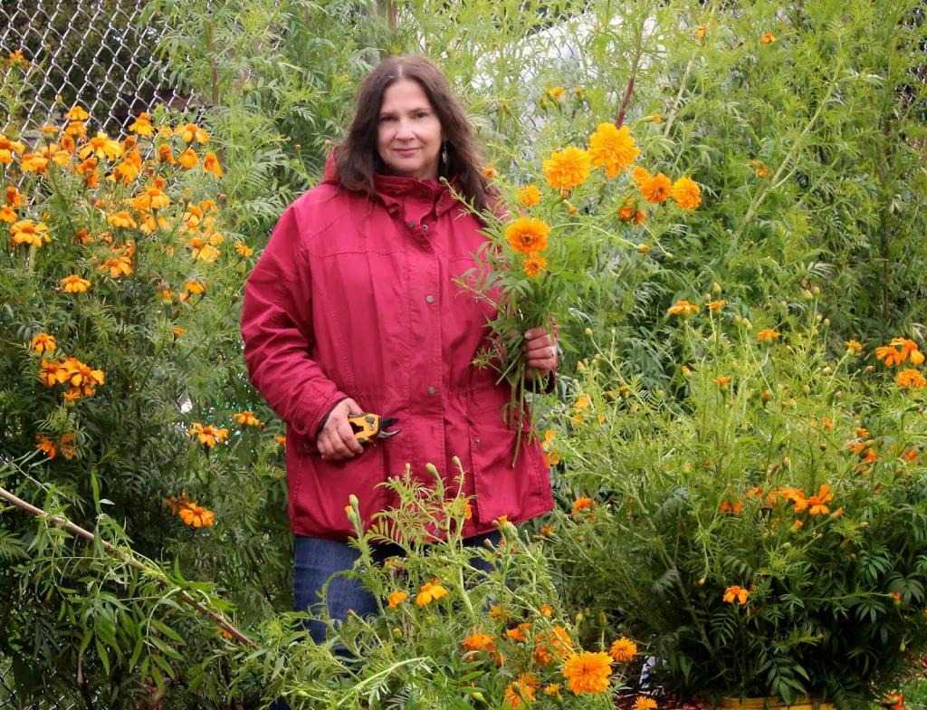 Tall marigolds