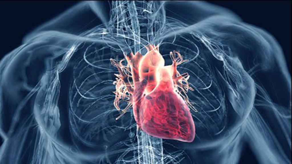 ммиокардический кардиосклероз с нарушением ритма сердца