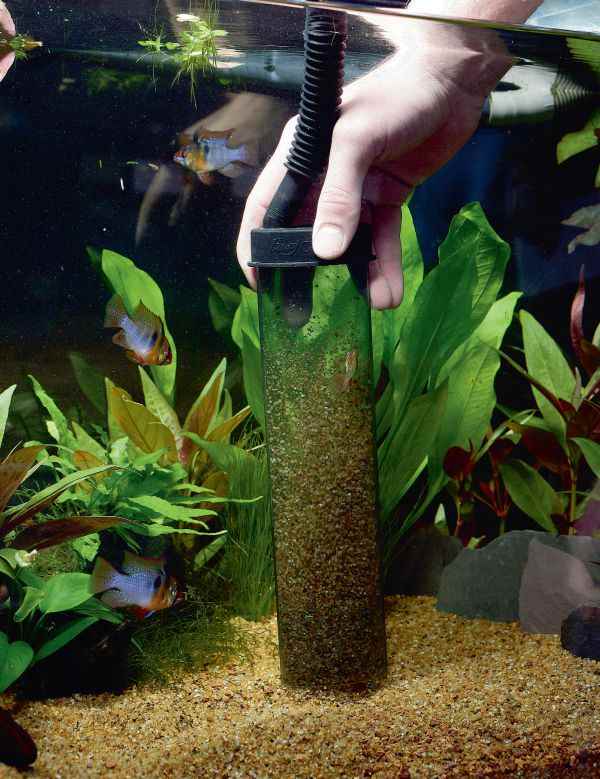 Как сделать воду в аквариуме мягче?