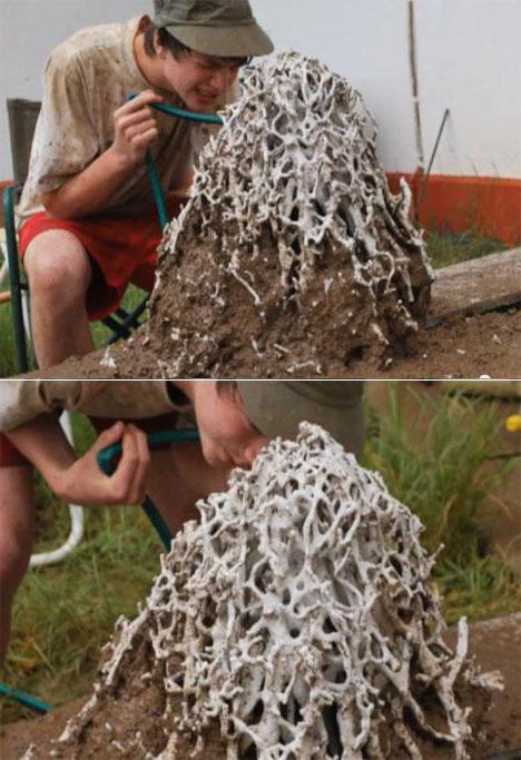 what will happen if aluminum is poured into the anthill