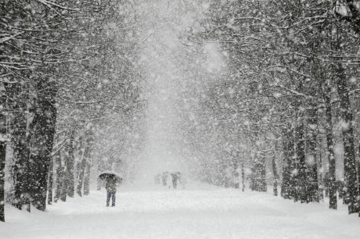погода в Москве снегопад