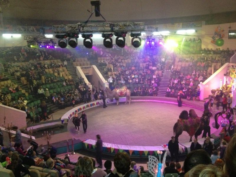 Арена Хабаровского цирка
