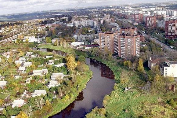 Г луга ленинградская область фото города