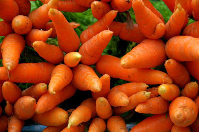 химический состав моркови вареной