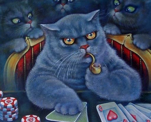 Кот играет в покер
