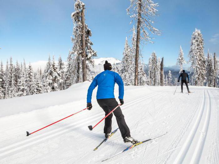 подобрать горные лыжи по росту и весу