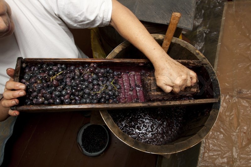 Процесс изготовления вина