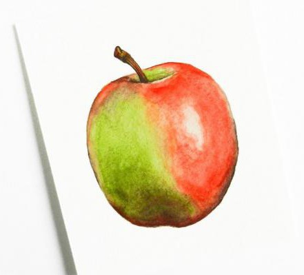 Как нарисовать яблоко акварелью поэтапно для начинающих