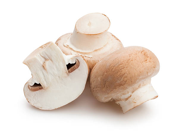 сколько хранятся грибы шампиньоны в холодильнике