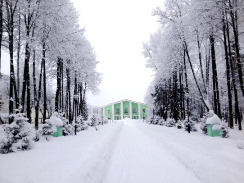 туберкулезный санаторий Плес отзывы