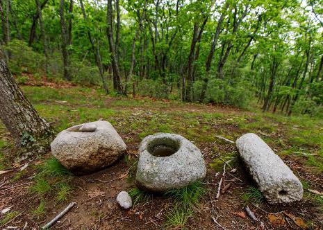 Petrov island Primorsky Krai excursions