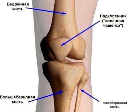  Хондромаляция коленного сустава 