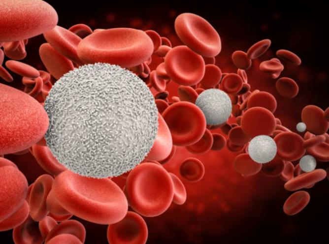 Низкие лейкоциты в крови у мужчин