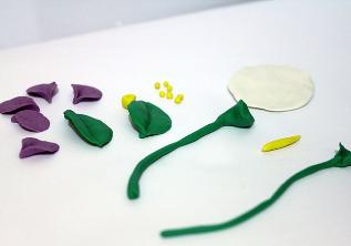 Crafts from plasticine, flowers
