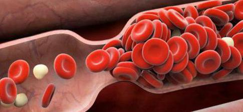 свертывающая противосвертывающая и фибринолитическая системы крови