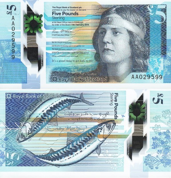 Банкнота 2016 года