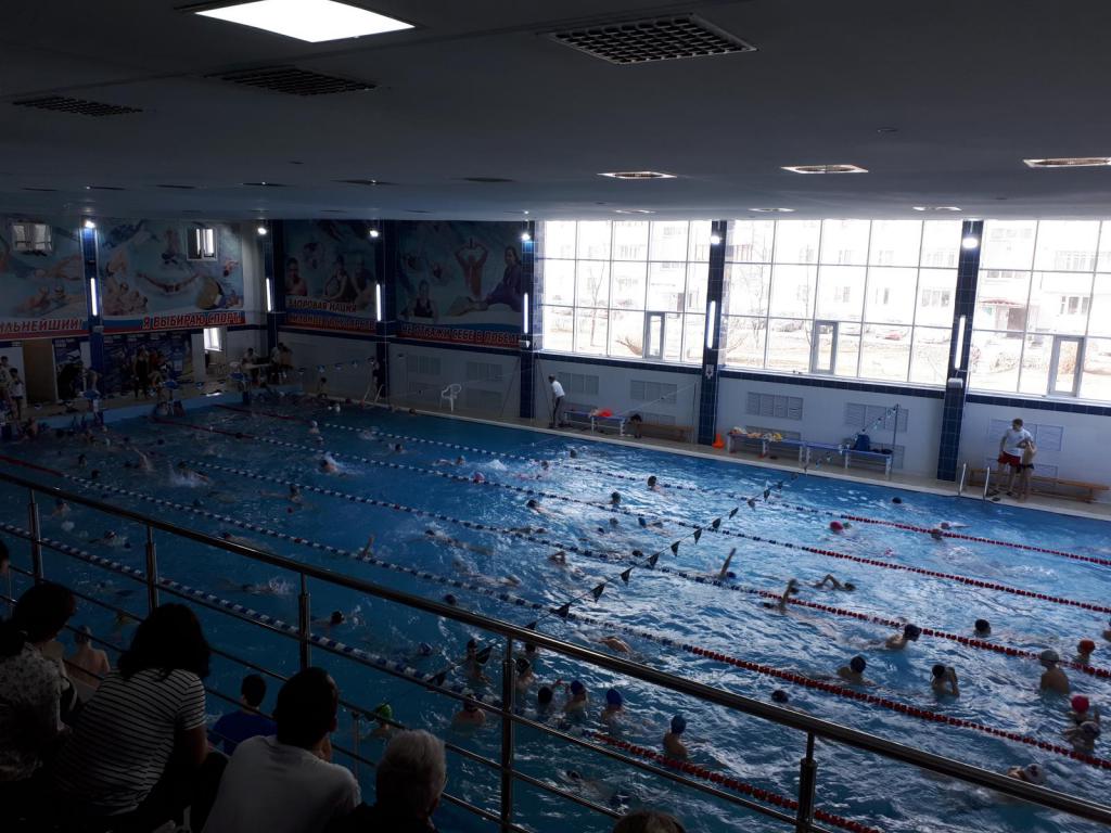 соревнования в бассейне "Лазурный" Новосибирск