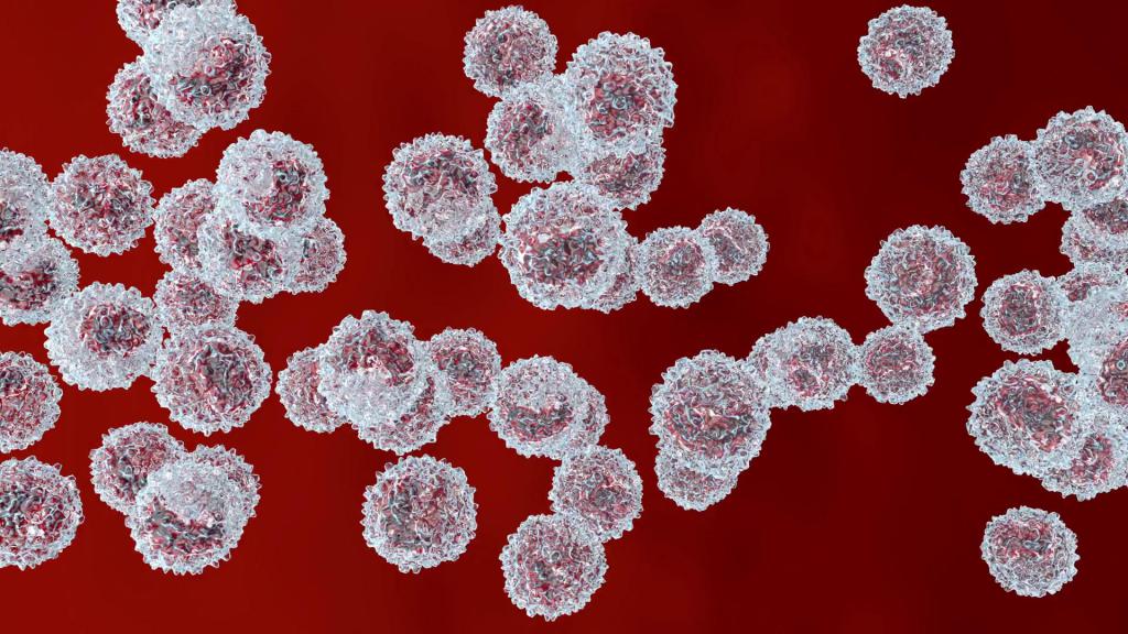 Белые кровяные клетки - лейкоциты