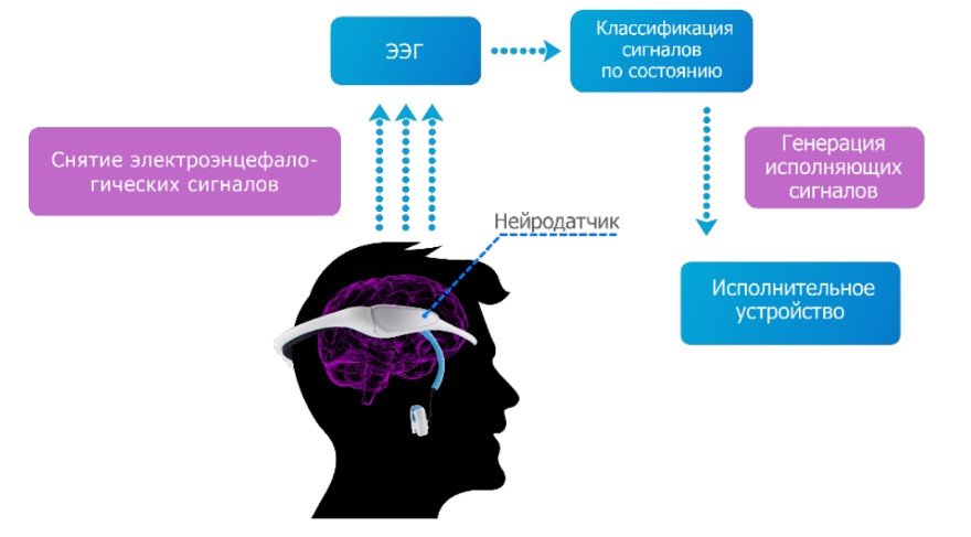 Принципиальная схема работы неинвазивного нейроинтерфейса Нейрогресс