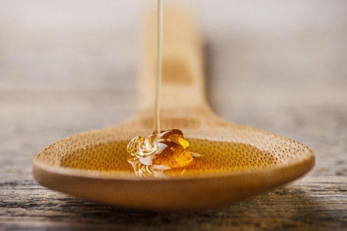 Кедровый мед эликсир здоровья