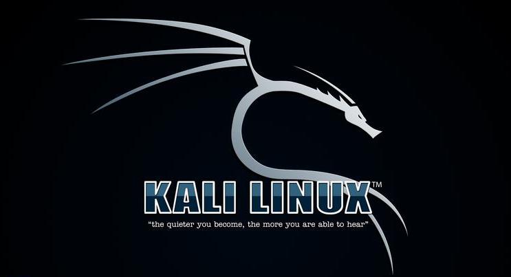 Как установить Kali Linux
