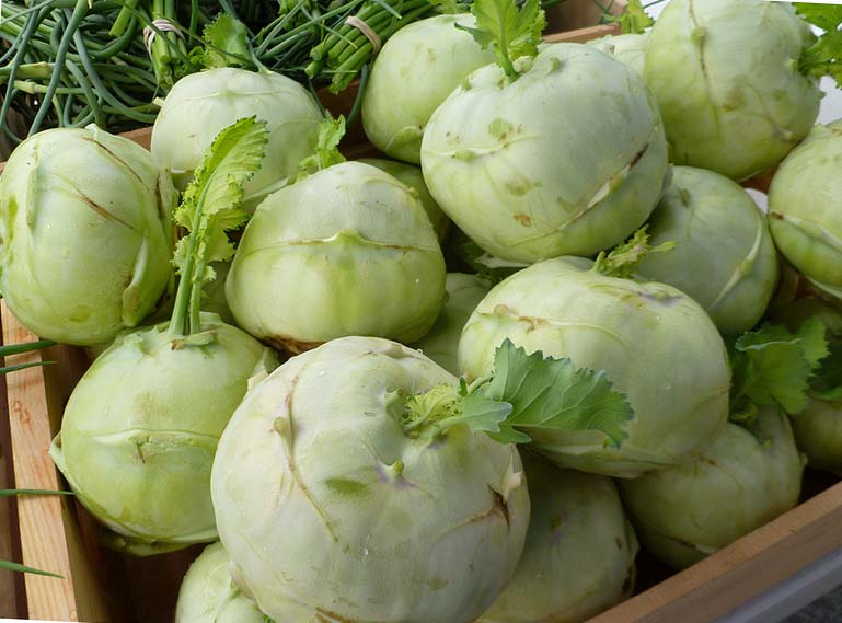 Harvest kohlrabi