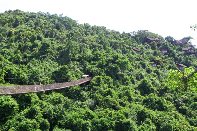 "Мост Дракона" в тропическом парке