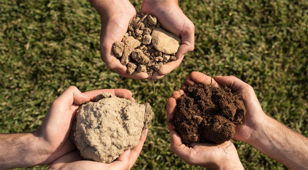 Types of soil