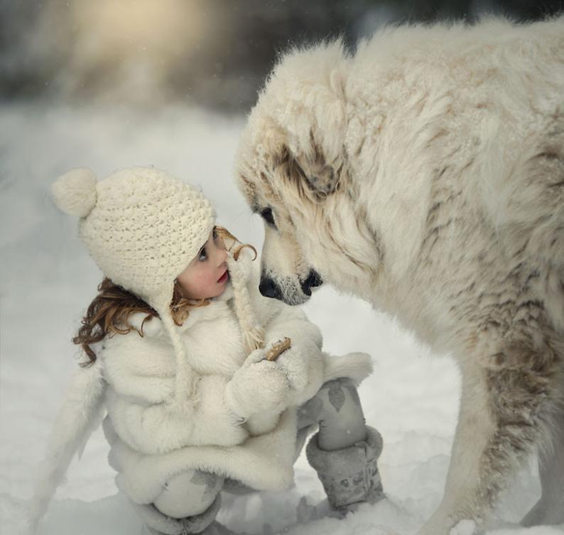 Child and Central Asian Shepherd Dog