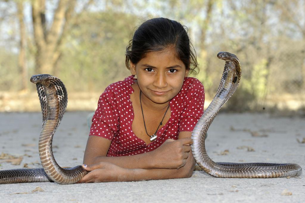 Люди боящиеся змей
