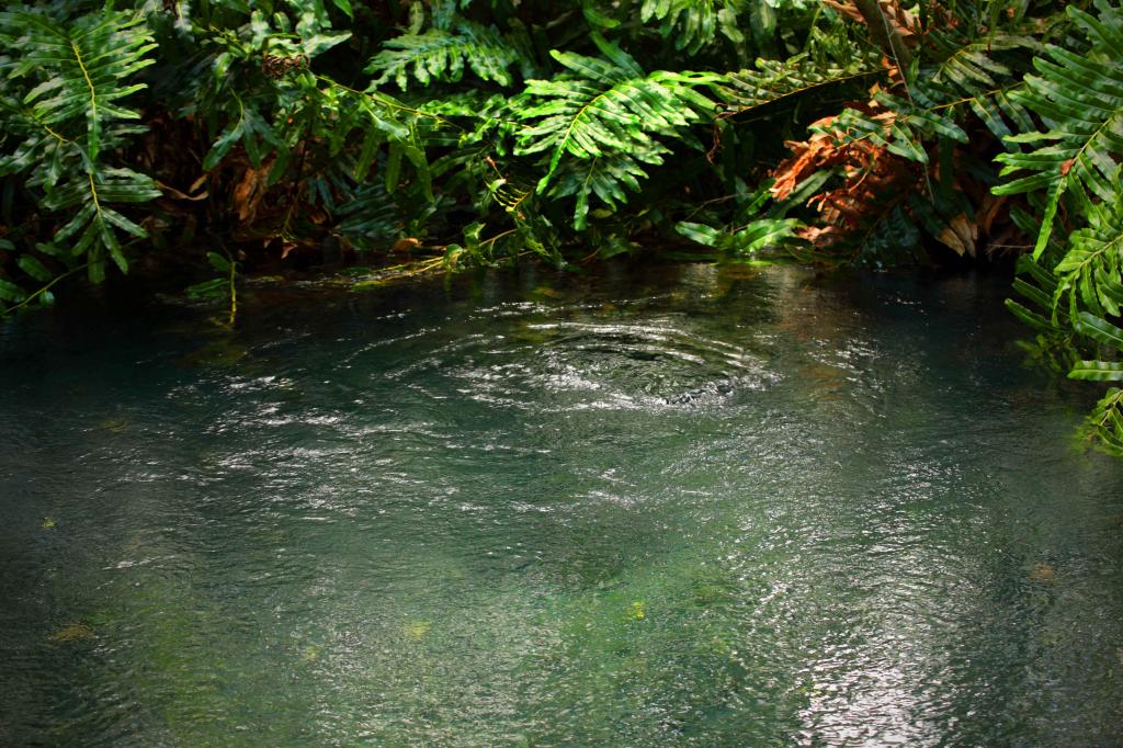 Вода выходит с реки. Neela Springs вода. Spring Water Spring Water. Фон вода для фотошопа. Spring Fresh Water.