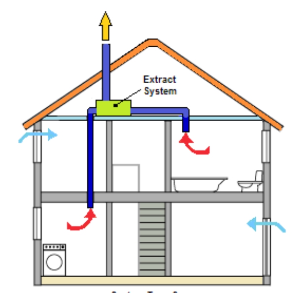 Exhaust system