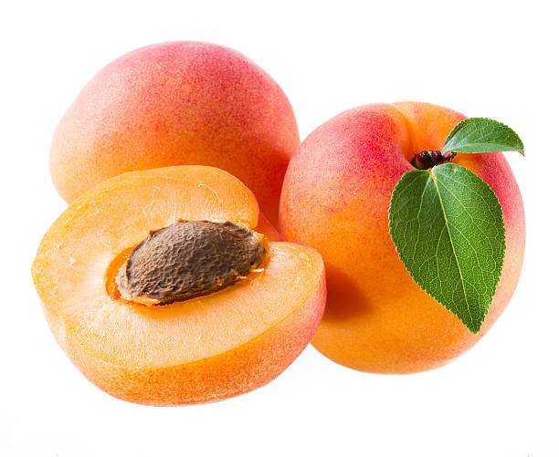 Apricot fruit