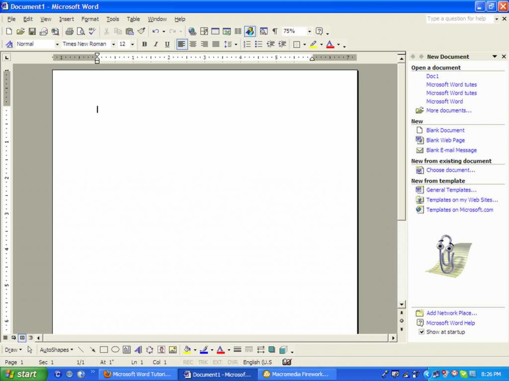 Interface in Microsoft Word