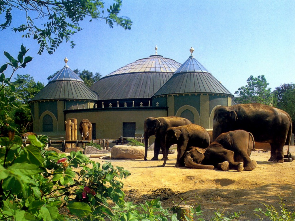 Слоны в зоопарке Мюнхена