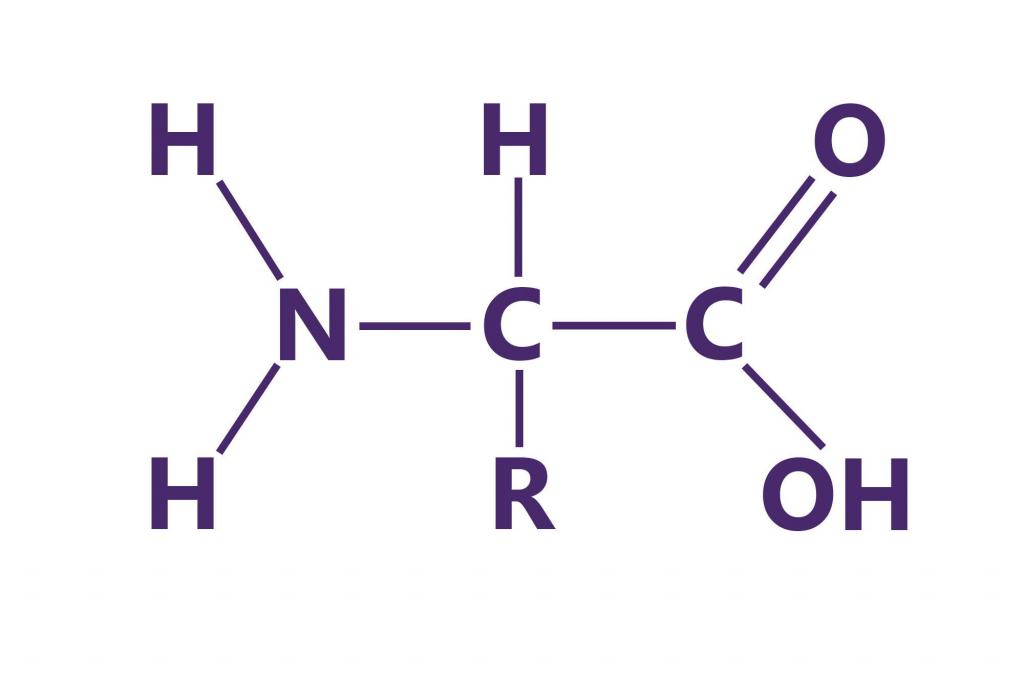 общая формула аминокислот