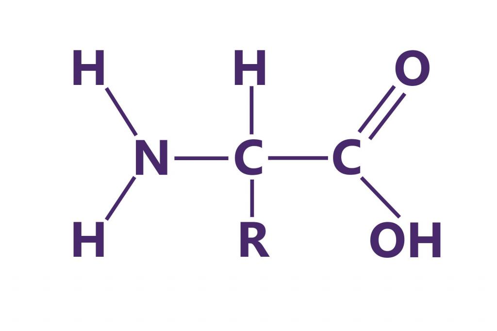 general amino acid formula